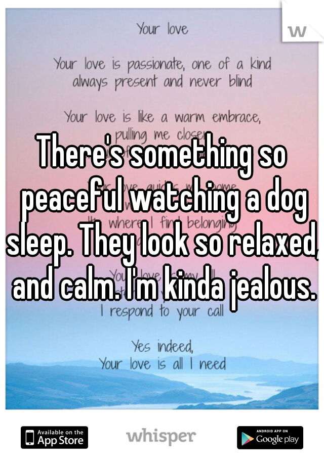 There's something so peaceful watching a dog sleep. They look so relaxed, and calm. I'm kinda jealous.