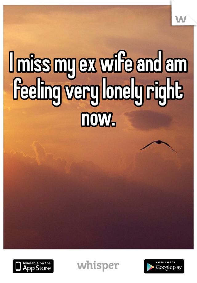 I miss my ex wife and am feeling very lonely right now. 