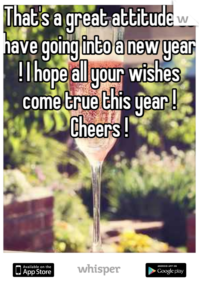 That's a great attitude to have going into a new year ! I hope all your wishes come true this year ! Cheers !