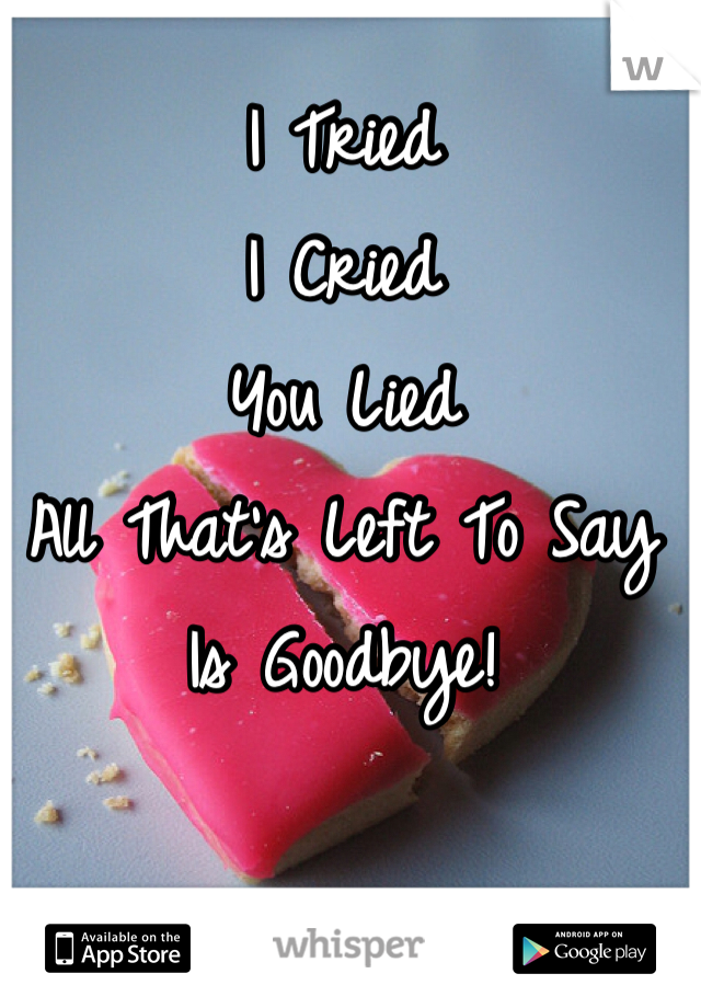 I Tried
I Cried
You Lied
All That's Left To Say Is Goodbye!