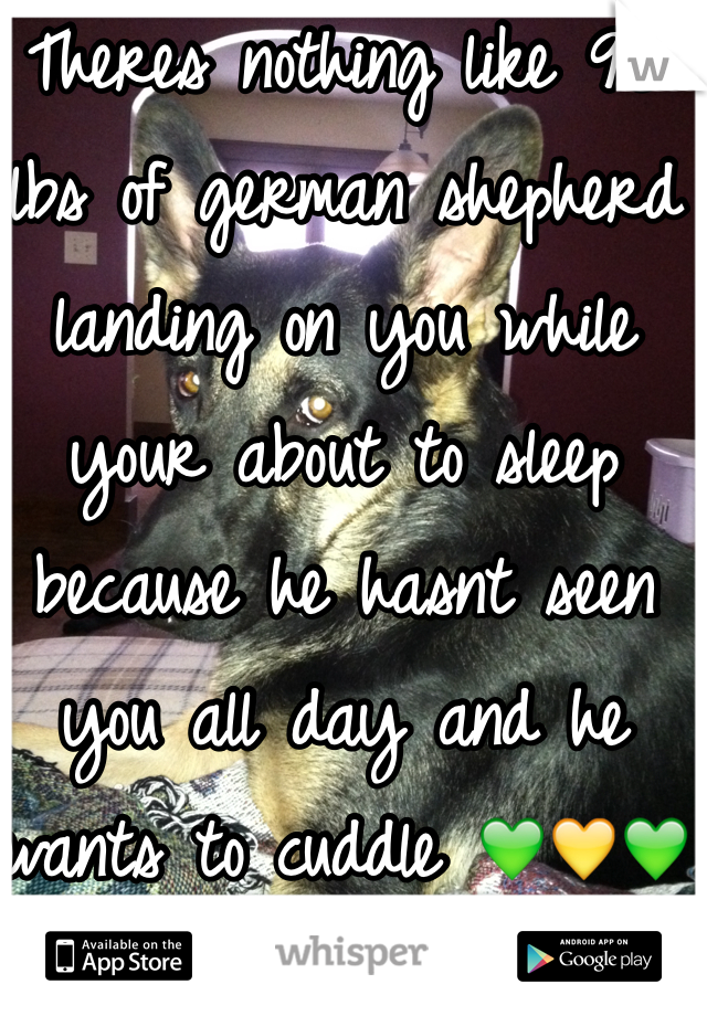 Theres nothing like 90 lbs of german shepherd landing on you while your about to sleep because he hasnt seen you all day and he wants to cuddle 💚💛💚💛