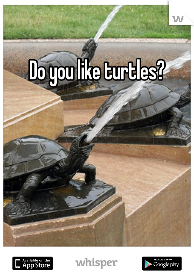 Do you like turtles?