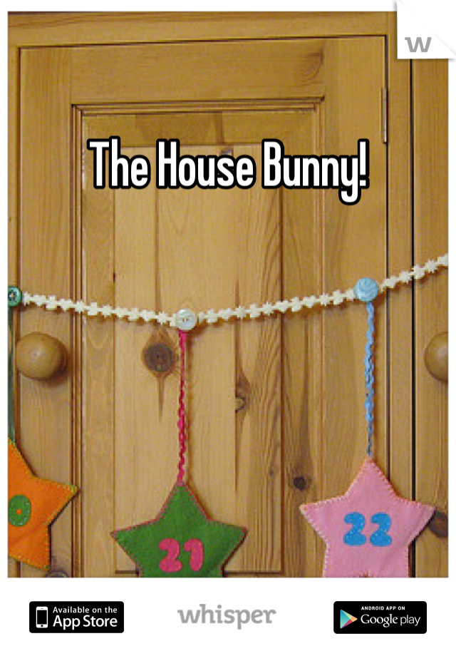 The House Bunny!