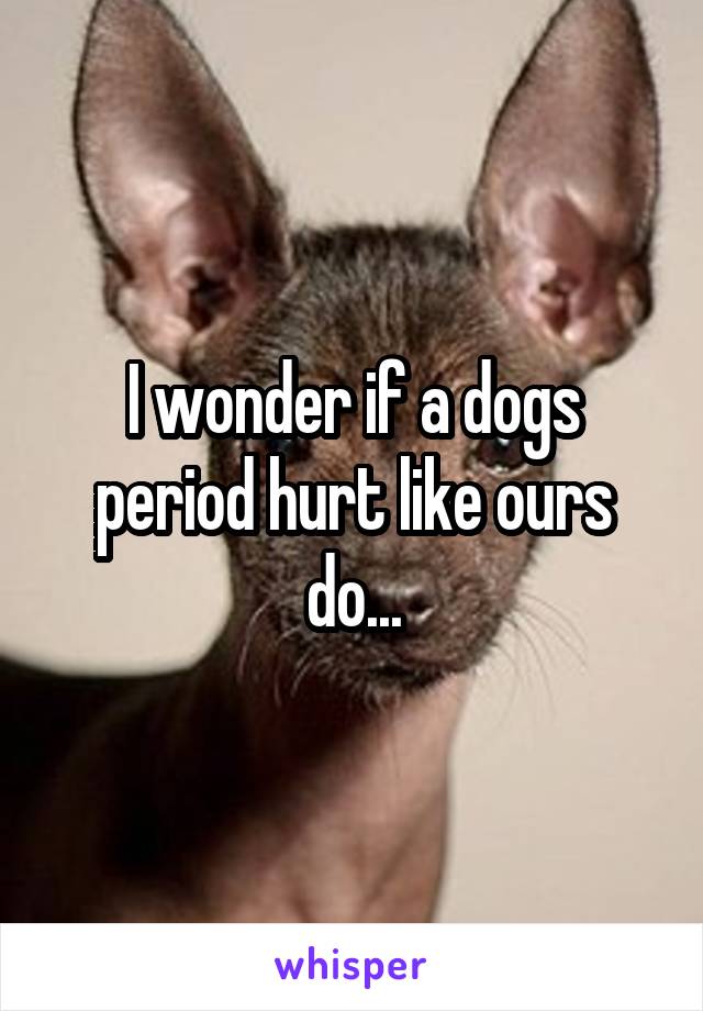 I wonder if a dogs period hurt like ours do...