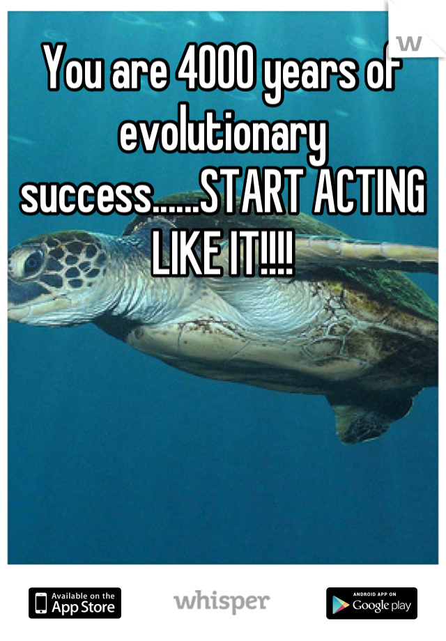 You are 4000 years of evolutionary success......START ACTING LIKE IT!!!!