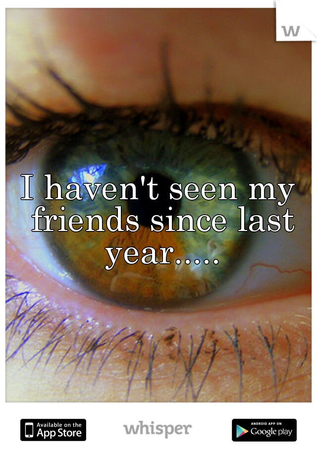 I haven't seen my friends since last year.....