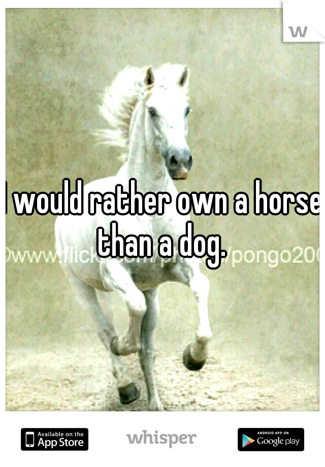 I would rather own a horse than a dog. 