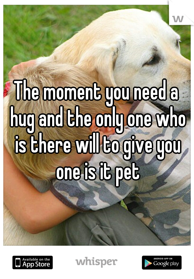 The moment you need a hug and the only one who is there will to give you one is it pet