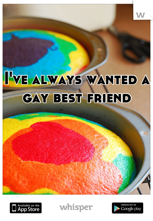 I've always wanted a gay best friend