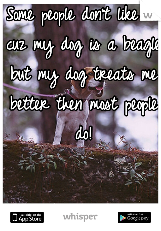 Some people don't like me cuz my dog is a beagle but my dog treats me better then most people do!