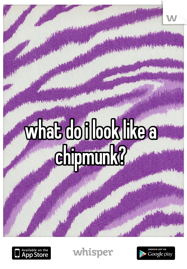 what do i look like a chipmunk?