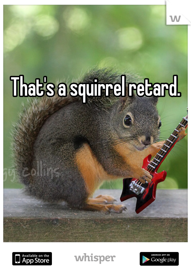 That's a squirrel retard.