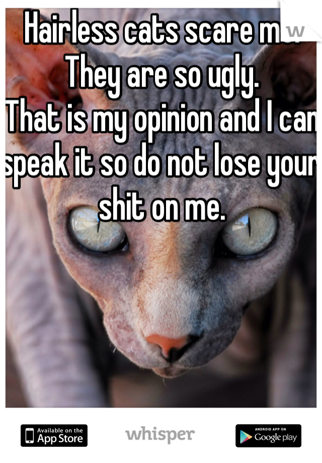 Hairless cats scare me. They are so ugly. 
That is my opinion and I can speak it so do not lose your shit on me. 