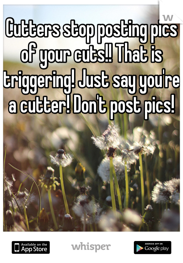 Cutters stop posting pics of your cuts!! That is triggering! Just say you're a cutter! Don't post pics!