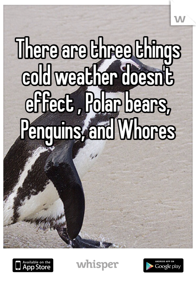 There are three things cold weather doesn't effect , Polar bears, Penguins, and Whores 