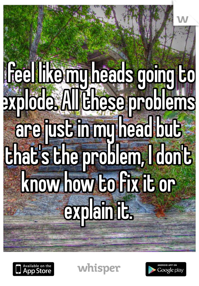 I feel like my heads going to explode. All these problems are just in my head but that's the problem, I don't know how to fix it or explain it. 