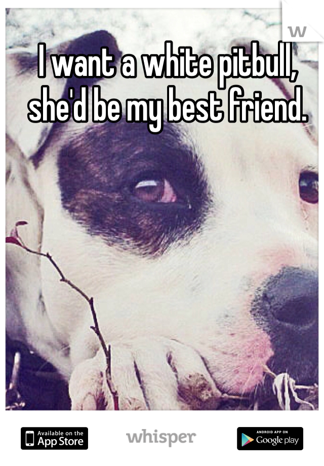 I want a white pitbull, she'd be my best friend. 