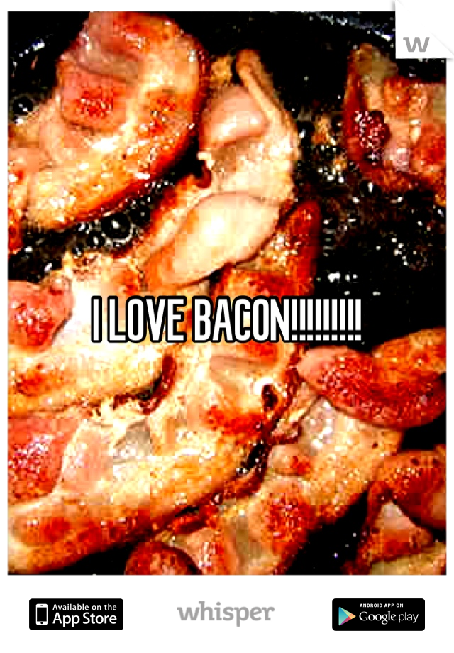 I LOVE BACON!!!!!!!!!