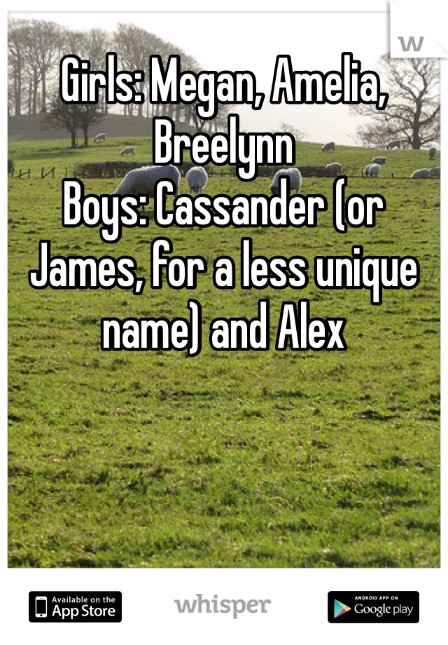 Girls: Megan, Amelia, Breelynn
Boys: Cassander (or James, for a less unique name) and Alex