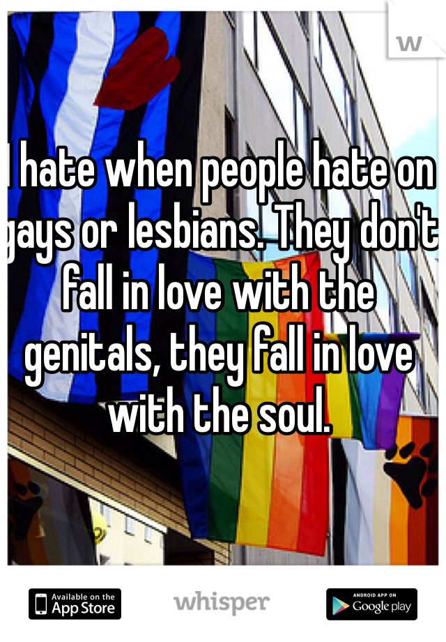 I hate when people hate on gays or lesbians. They don't fall in love with the genitals, they fall in love with the soul. 