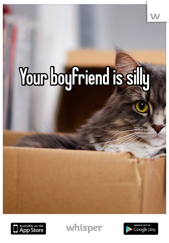 Your boyfriend is silly 