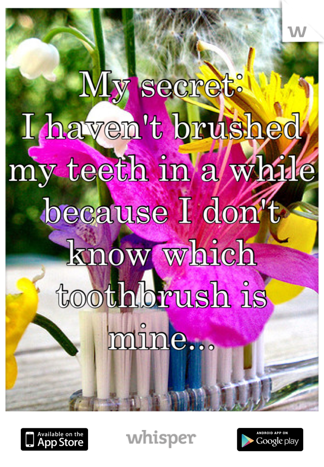 My secret:
I haven't brushed my teeth in a while because I don't know which toothbrush is mine...