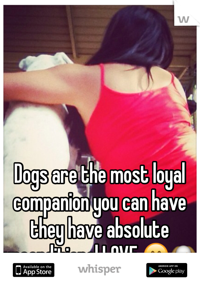 Dogs are the most loyal companion you can have they have absolute unconditional LOVE 😊🐶