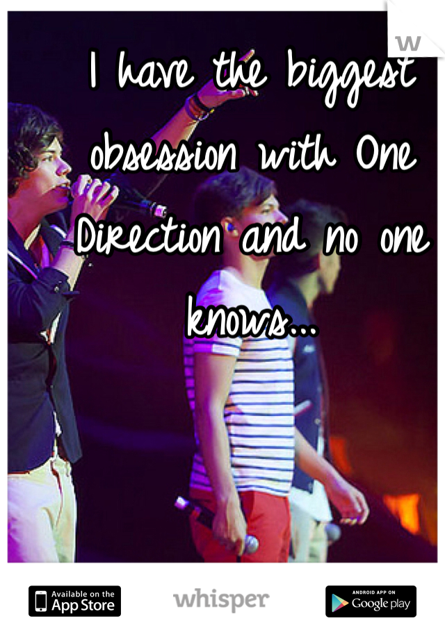 I have the biggest obsession with One Direction and no one knows...