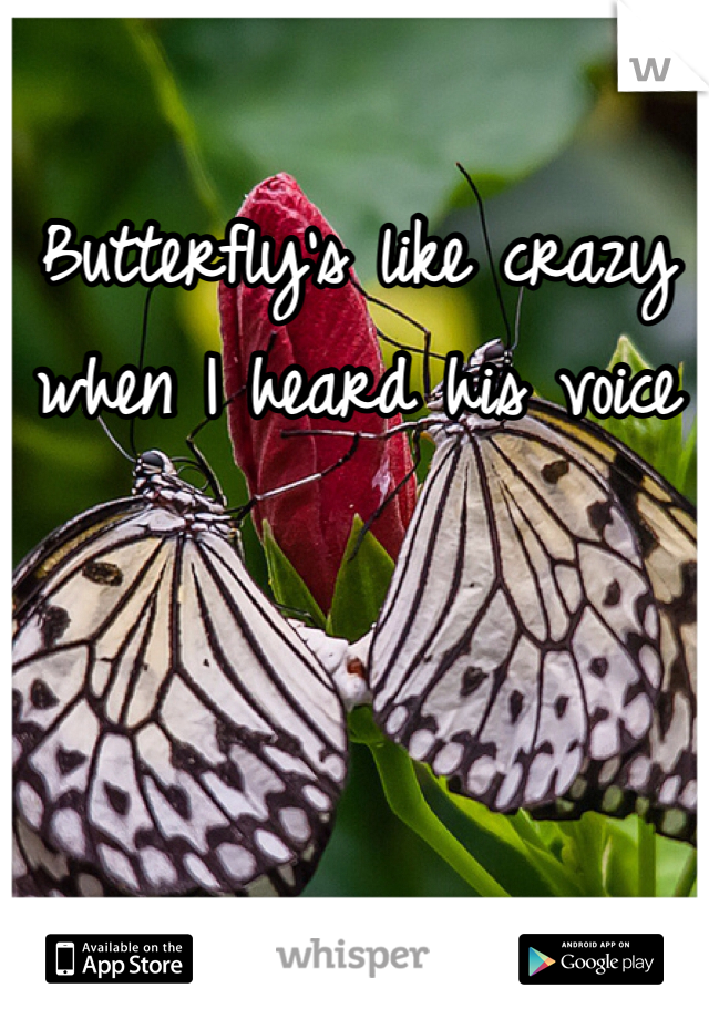 Butterfly's like crazy when I heard his voice 