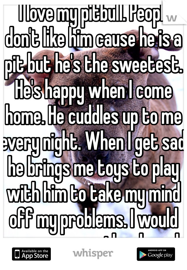  I love my pitbull. People don't like him cause he is a pit but he's the sweetest. He's happy when I come home. He cuddles up to me every night. When I get sad he brings me toys to play with him to take my mind off my problems. I would never own another breed. #bslsucks