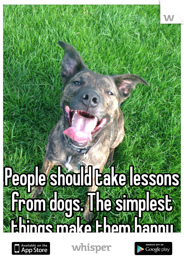 People should take lessons from dogs. The simplest things make them happy