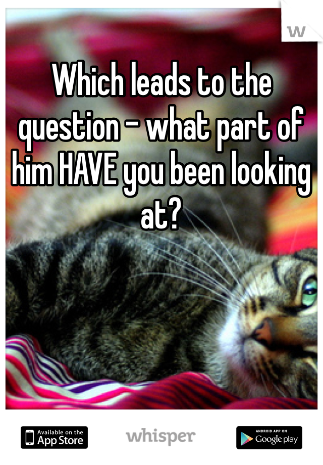 Which leads to the question - what part of him HAVE you been looking at?