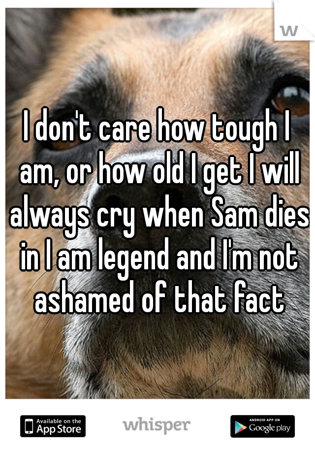 I don't care how tough I am, or how old I get I will always cry when Sam dies in I am legend and I'm not ashamed of that fact