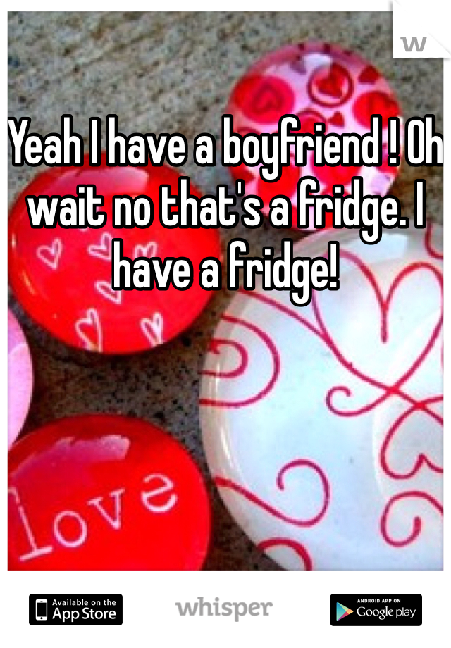 Yeah I have a boyfriend ! Oh wait no that's a fridge. I have a fridge! 