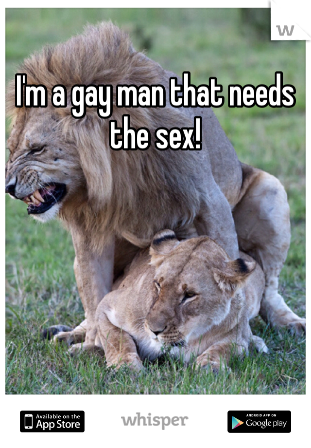 I'm a gay man that needs the sex!