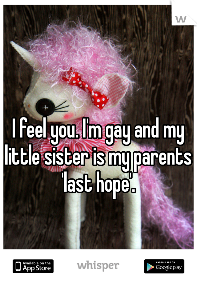 I feel you. I'm gay and my little sister is my parents 'last hope'. 