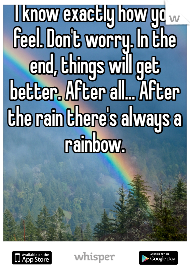 I know exactly how you feel. Don't worry. In the end, things will get better. After all... After the rain there's always a rainbow. 