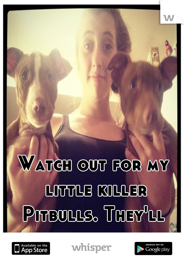 Watch out for my little killer
Pitbulls. They'll cuddle you to death.