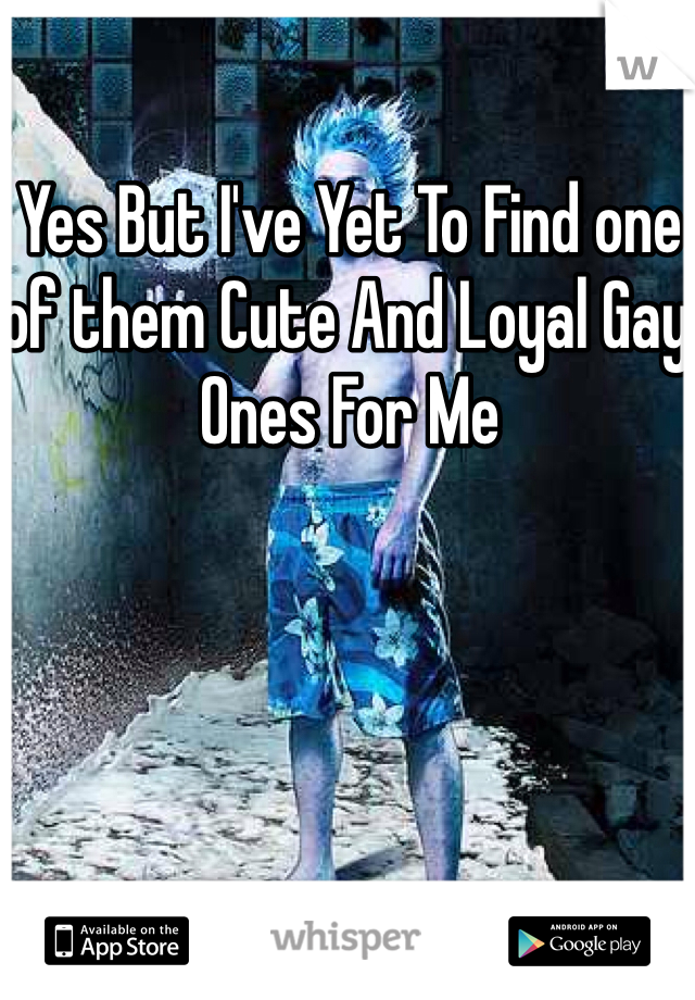 Yes But I've Yet To Find one of them Cute And Loyal Gay Ones For Me