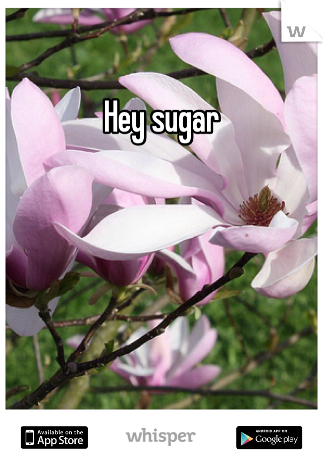 Hey sugar