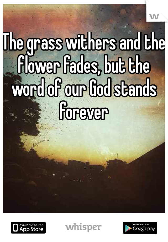 The grass withers and the flower fades, but the word of our God stands forever