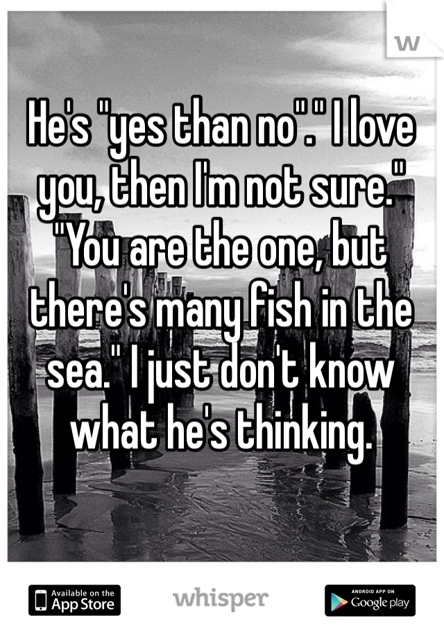 He's "yes than no"." I love you, then I'm not sure." "You are the one, but there's many fish in the sea." I just don't know what he's thinking. 