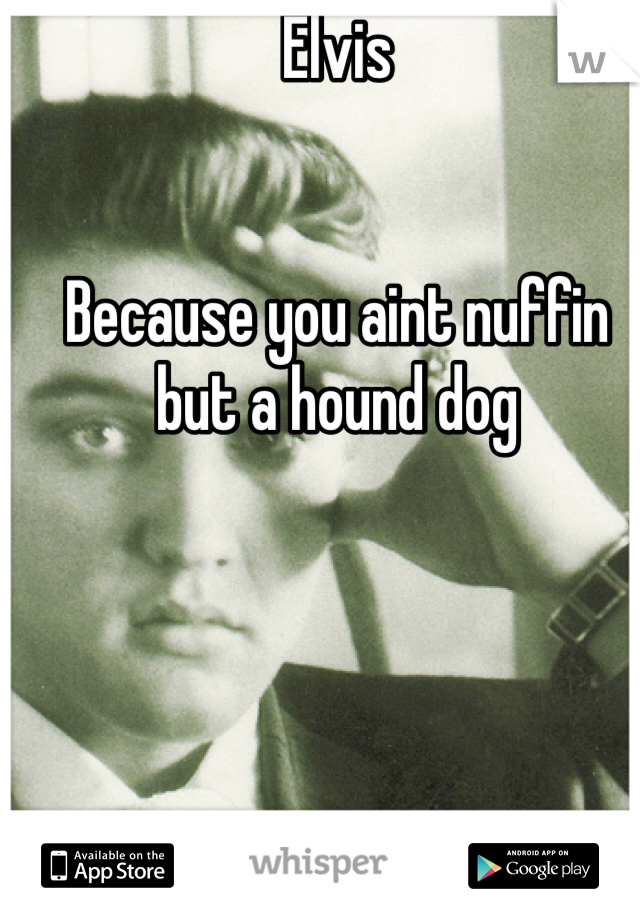 Elvis


Because you aint nuffin but a hound dog 