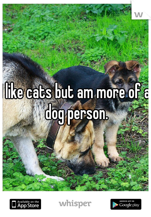 I like cats but am more of a dog person.