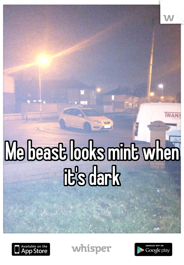 Me beast looks mint when it's dark