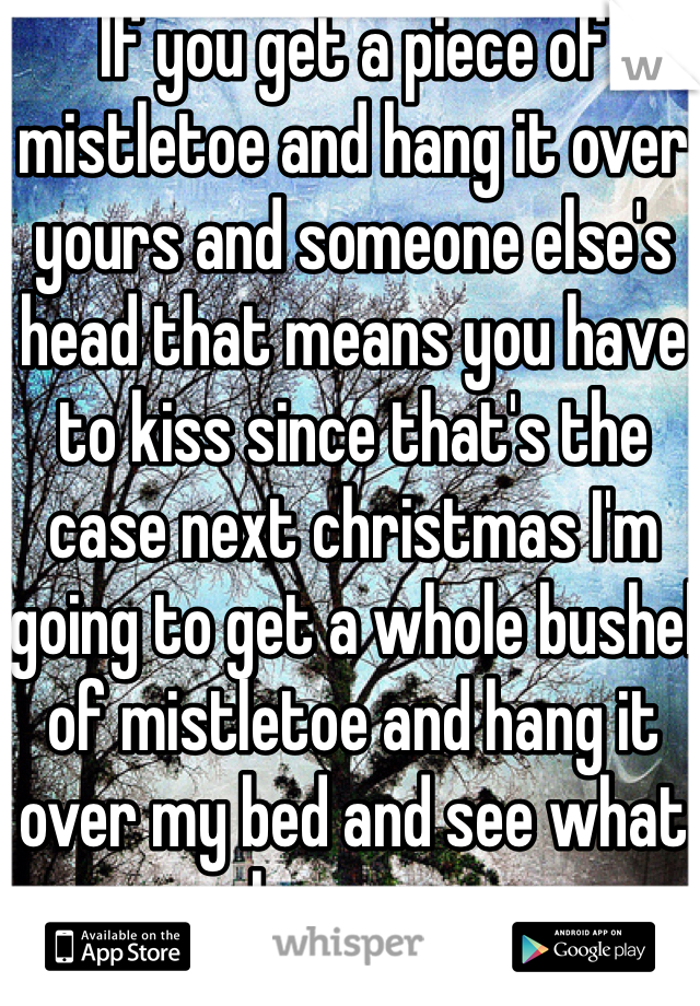 If you get a piece of mistletoe and hang it over yours and someone else's head that means you have to kiss since that's the case next christmas I'm going to get a whole bushel of mistletoe and hang it over my bed and see what happens