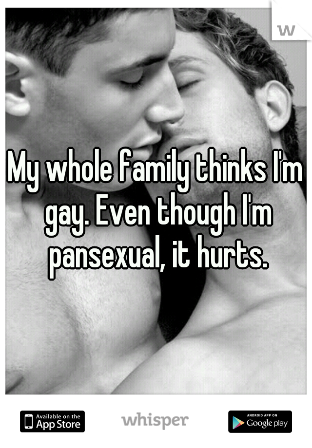 My whole family thinks I'm gay. Even though I'm pansexual, it hurts.
