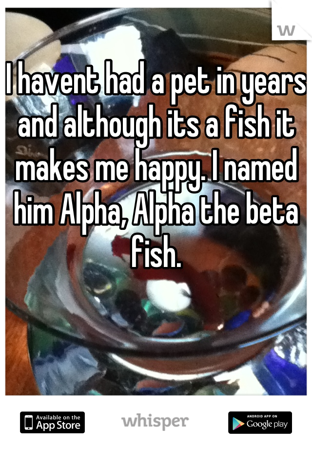 I havent had a pet in years and although its a fish it makes me happy. I named him Alpha, Alpha the beta fish.