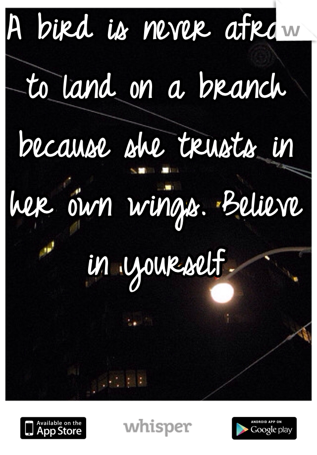 A bird is never afraid to land on a branch because she trusts in her own wings. Believe in yourself