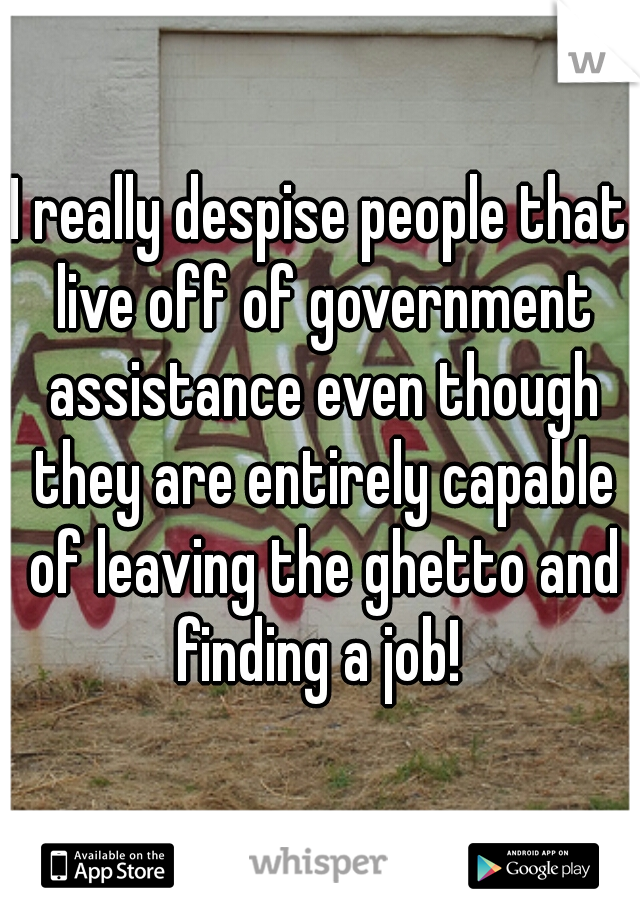 I really despise people that live off of government assistance even though they are entirely capable of leaving the ghetto and finding a job! 
